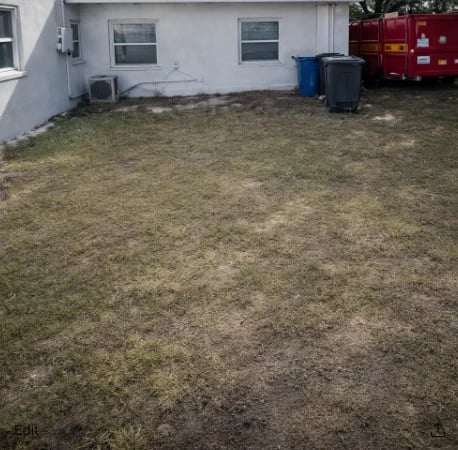 Sparse, patchy lawn beside a white residential building with blue and gray trash bins and a red dumpster